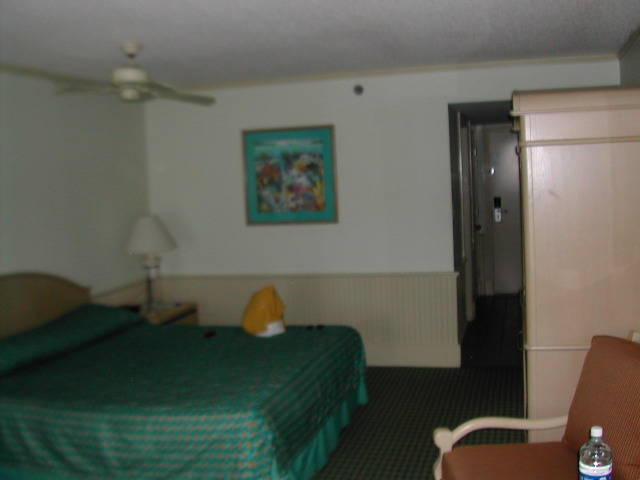 Room at Hyatt 1