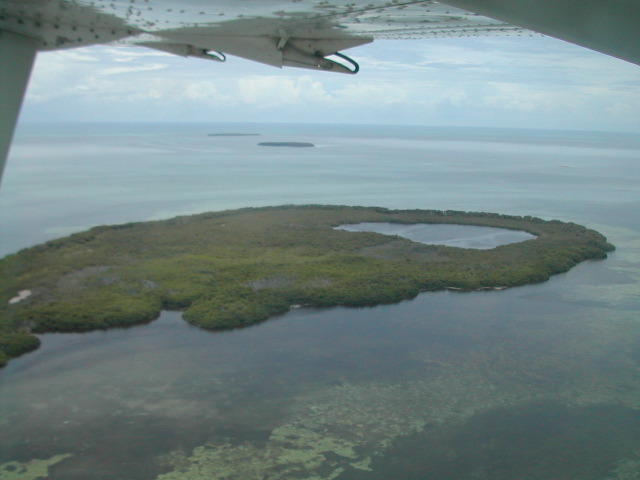 Island in the Gulf