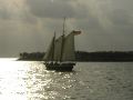 Schooner 2