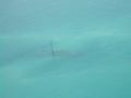 Shipwreck from Air 1