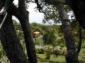 Gumbalimba Park2.JPG