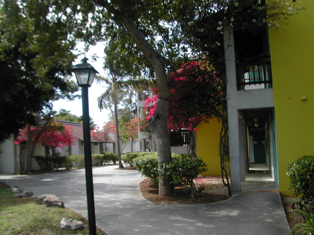 Buildings